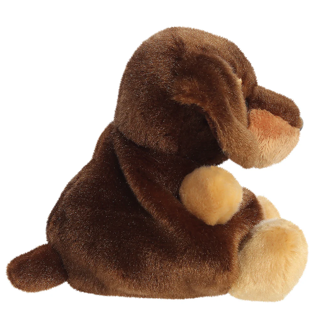 Houdini Dachshund™ - Image 3