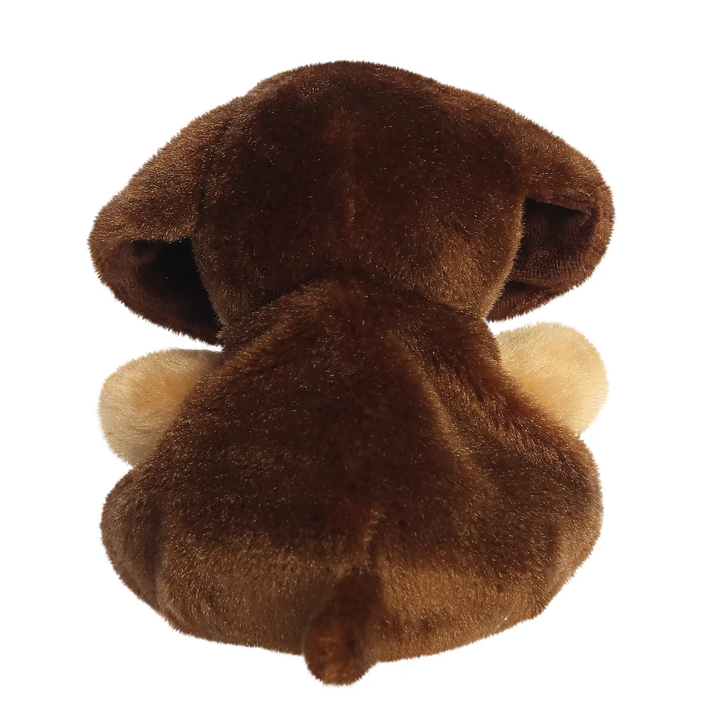 Houdini Dachshund™ - Image 4
